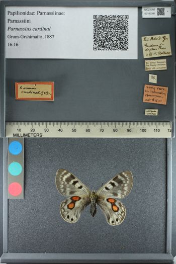 Media type: image;   Entomology 180381